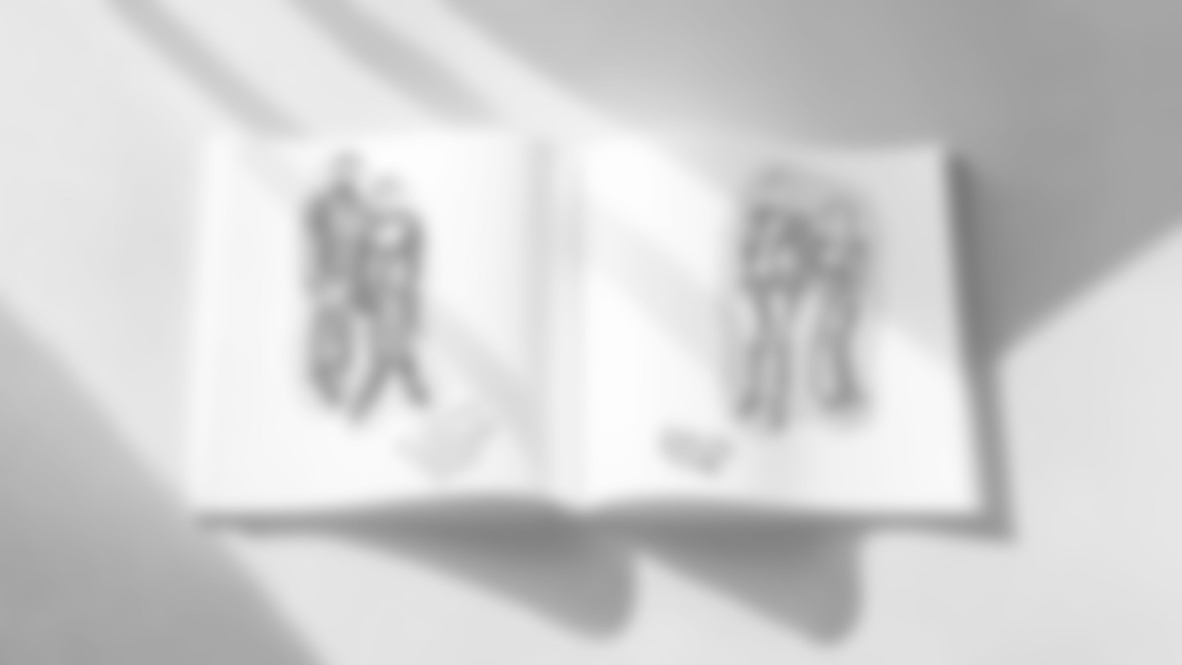 Illustrated guest book